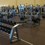 View Everlast Roll